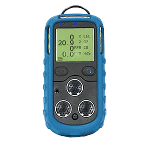 [64124] PS200 SERIES Instruments 2-Gas (O2 / H2S) Pumped